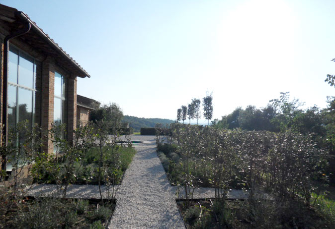 White gravel path between structured olive tree and shrub planting beds, overlooking the rolling Tuscan landscape.