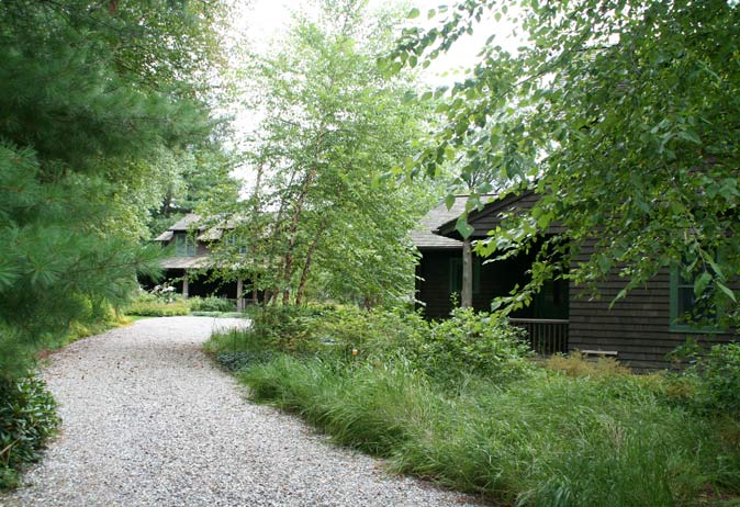 Gravel driveway approach lined with naturalistic plantings, birch, and native grasses leading toward the shingled home.