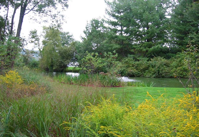 Wildflower meadow and native grasses in the foreground overlooking a natural pond or lake surrounded by dense trees.