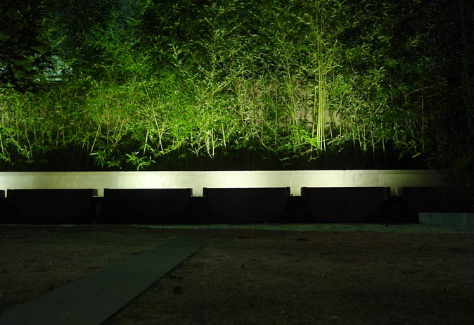 Night lighting view of a long concrete trough separating a dark ground plane from a brightly lit, dense bamboo screen.