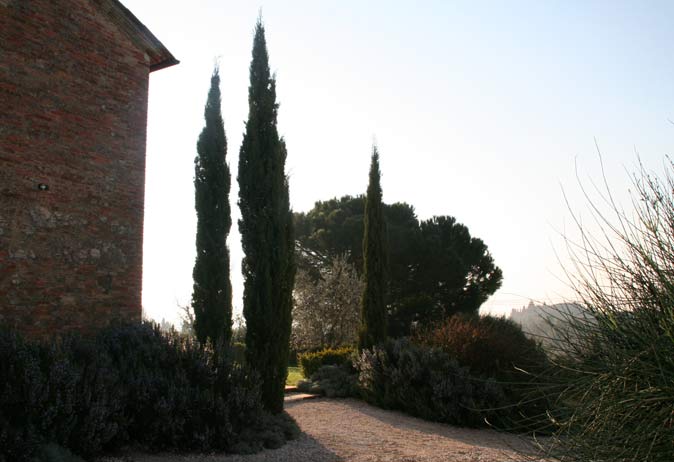 Three tall, slender Italian Cypress trees framing a view down a sunny gravel path next to a historic brick villa.