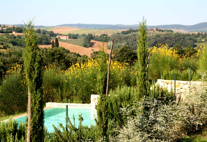 View over the landscape with cypress trees, flowering shrubs, and a small pool visible beneath a yellow field.