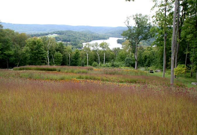 Tall grasses and tiered wildflower beds on a hillside overlooking a lake and rolling, tree-covered mountains.