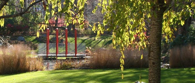 Modern white and red bridge crossing a stream, viewed through a foreground of ornamental grasses and a sun-dappled tree.