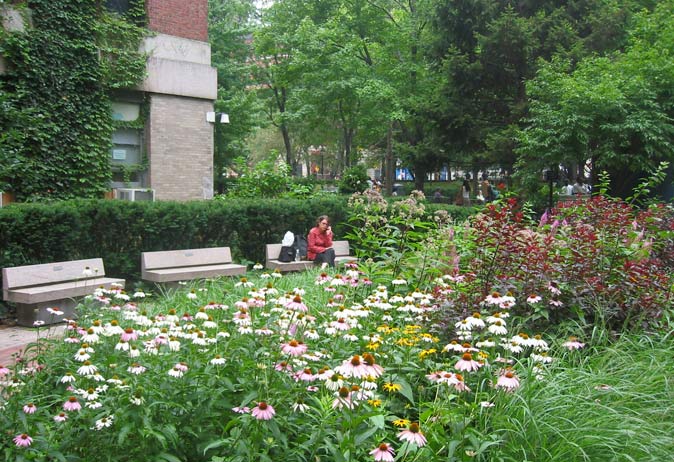 Healing garden with coneflowers and foliage in the foreground. A person rests on a stone bench near a hedge.