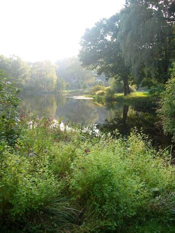 Lush green, naturalized planting in the foreground framing the view of a quiet pond on a hazy day.
