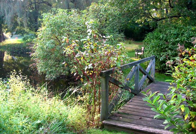 Small wooden footbridge over water leading to a grassy area with a bench, surrounded by shrubs and trees.