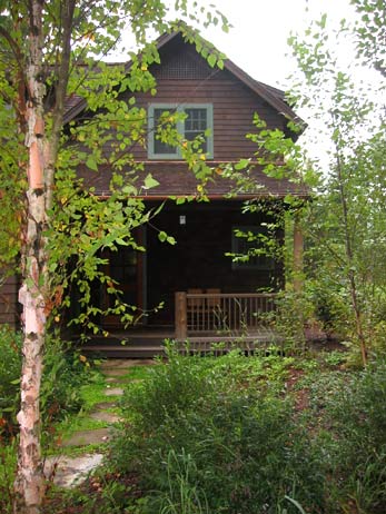 Vertical view of a small shingled guest cabin porch framed by a young birch tree and native woodland shrubs.