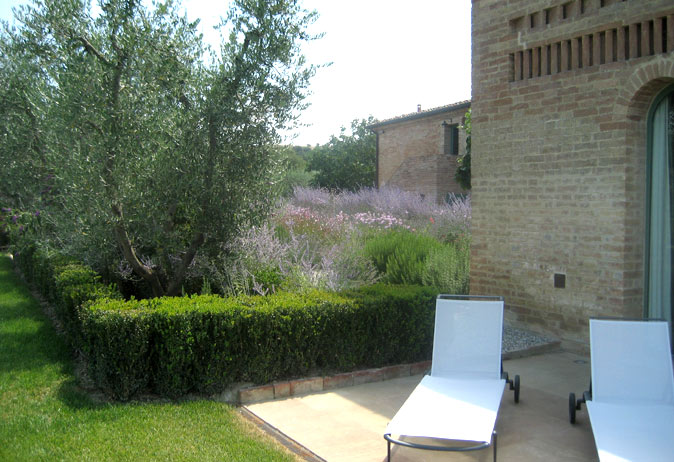 Patio with white lounge chairs next to an olive tree, low hedge, and colorful, drought-tolerant perennial flower beds.