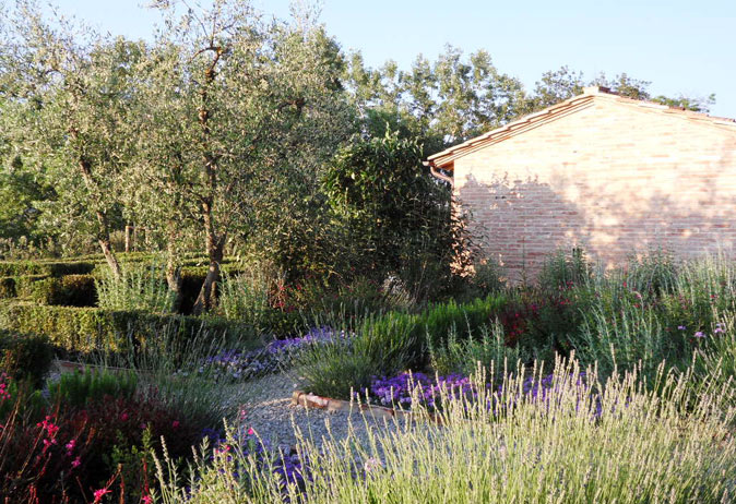 Lush Mediterranean garden planting with sage and purple flowers next to a gravel path and brick villa wall.