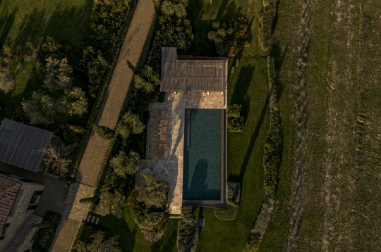 Aerial view of a dark rectangular pool, light stone decking, and a gravel path lined with olive trees.