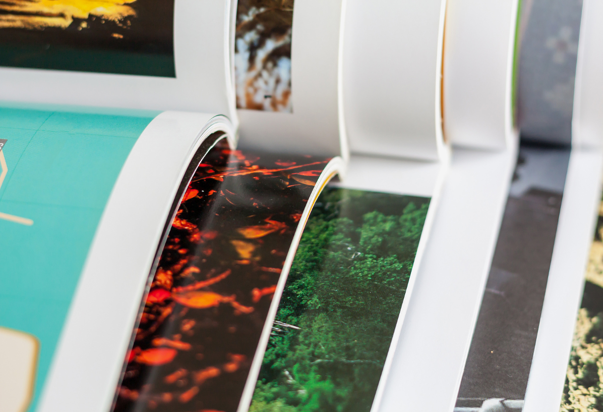 image of a bookshelf with finance books