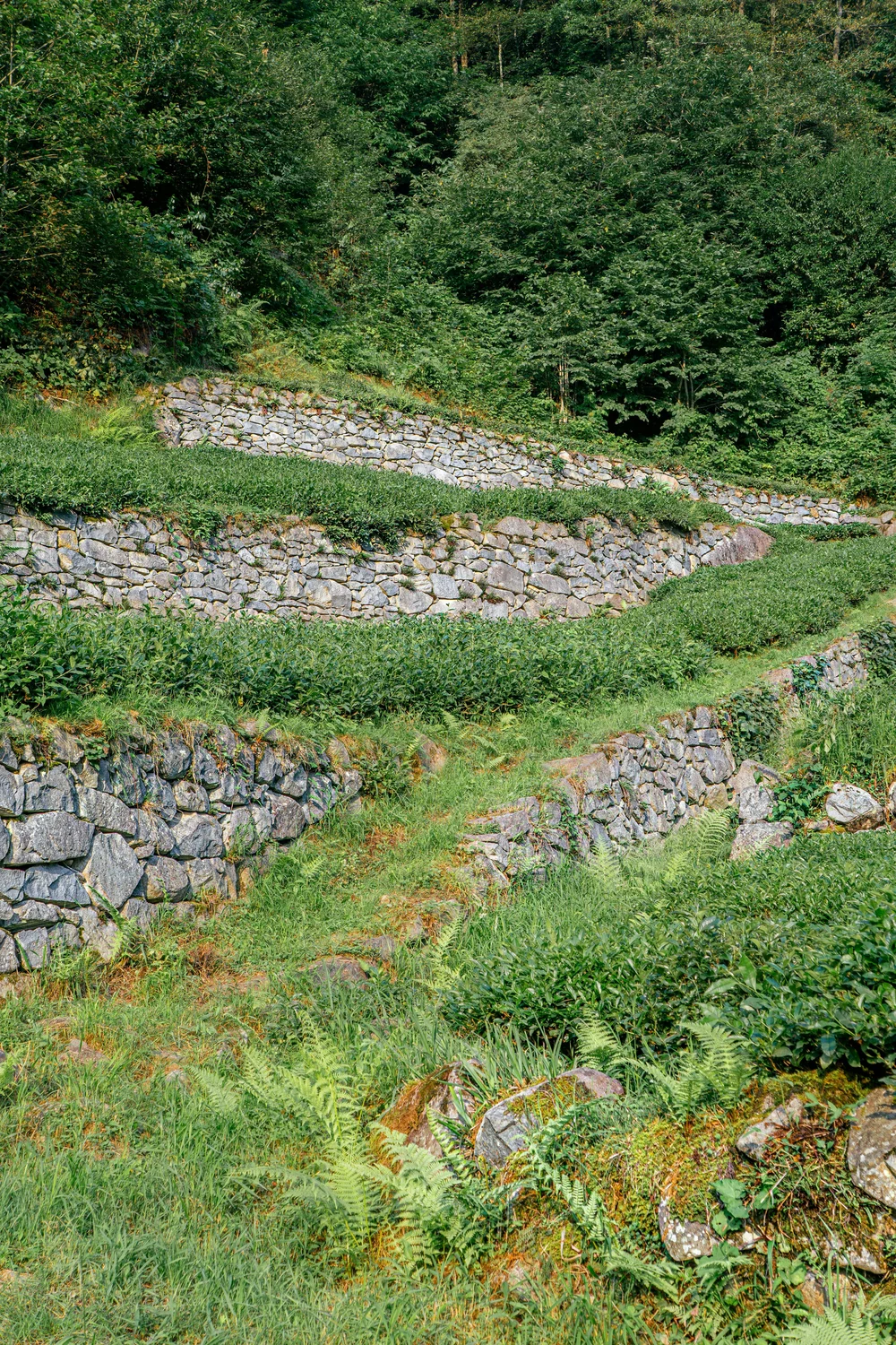 Project Retaining walls, borders, and garden design by Sunrise Lawn & Snow