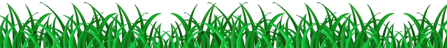 Minneapolis lawn & snow  by Sunrise Lawn & Snow