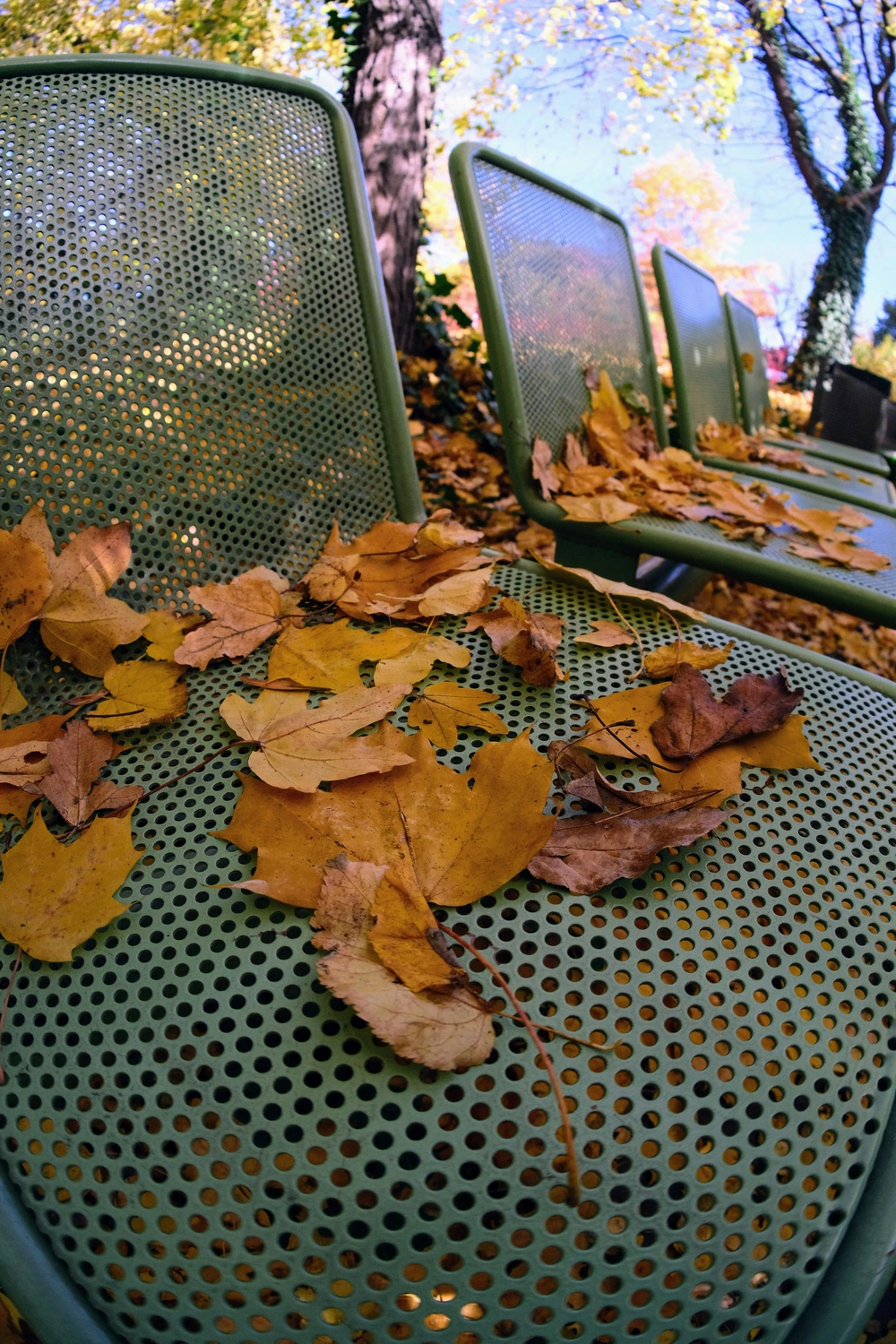 Project Lawn Mowing, Trimming & Edging by Sunrise Lawn & Snow