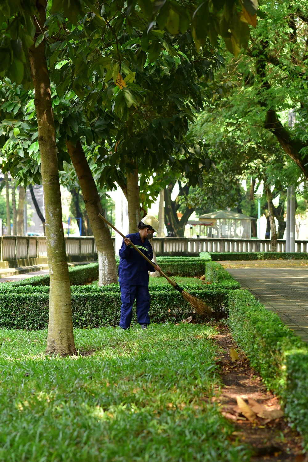 Leaf and debris removal by Sunrise Lawn & Snow