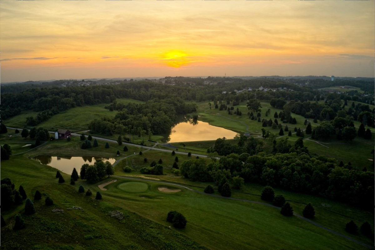 image of running shoes on display (for a footwear store)