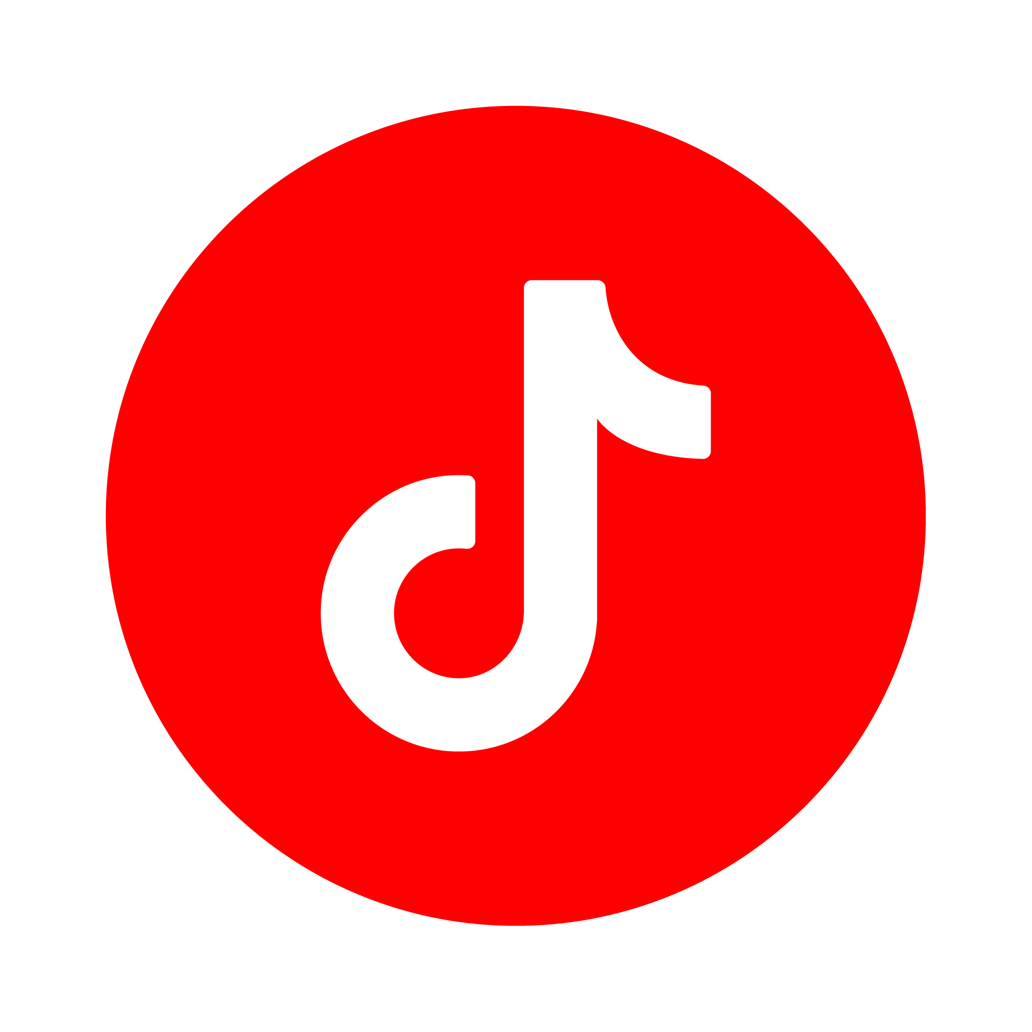 TikTok Logo TAS