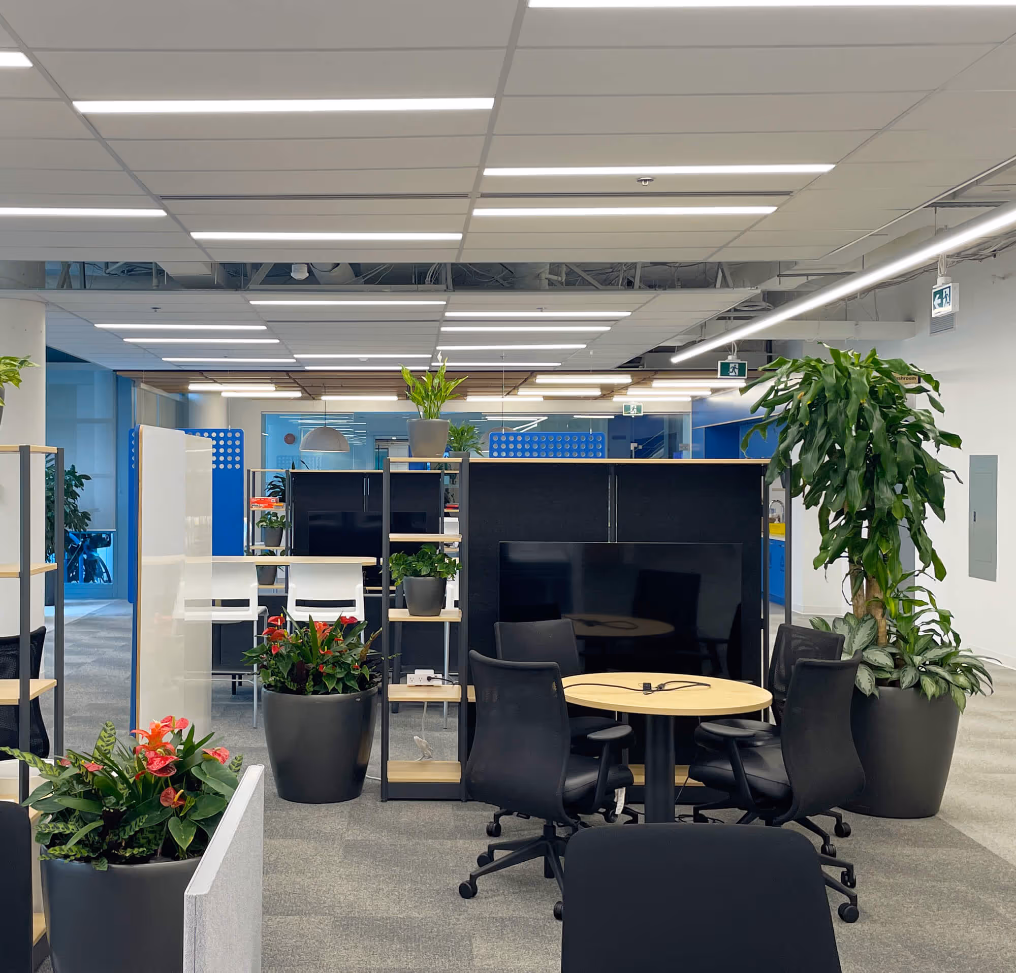 Open office space with several chairs and tables