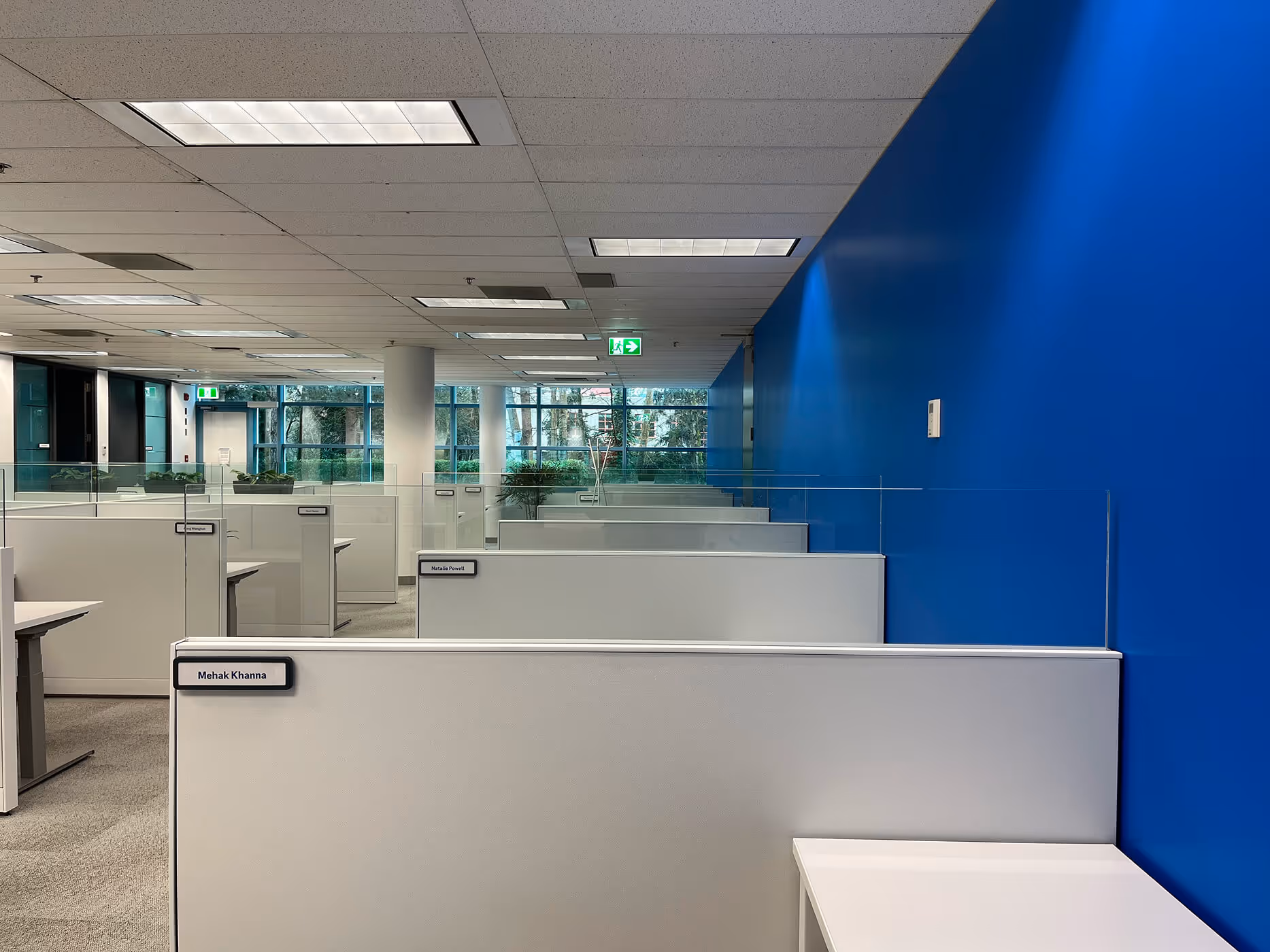 BCAA open office cubicles with glass dividers and a solid blue accent wall.