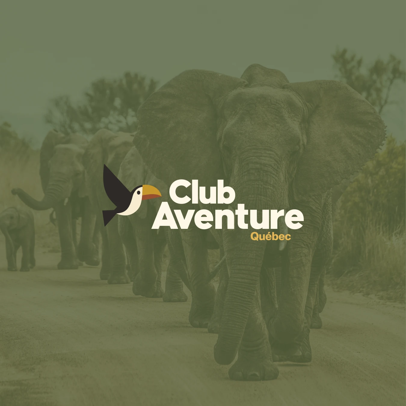 Club Aventure