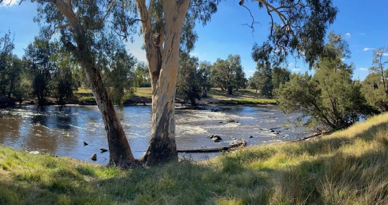 Aerial view of the Murrumbidgee River winding through the Murray-Darling Basin landscape