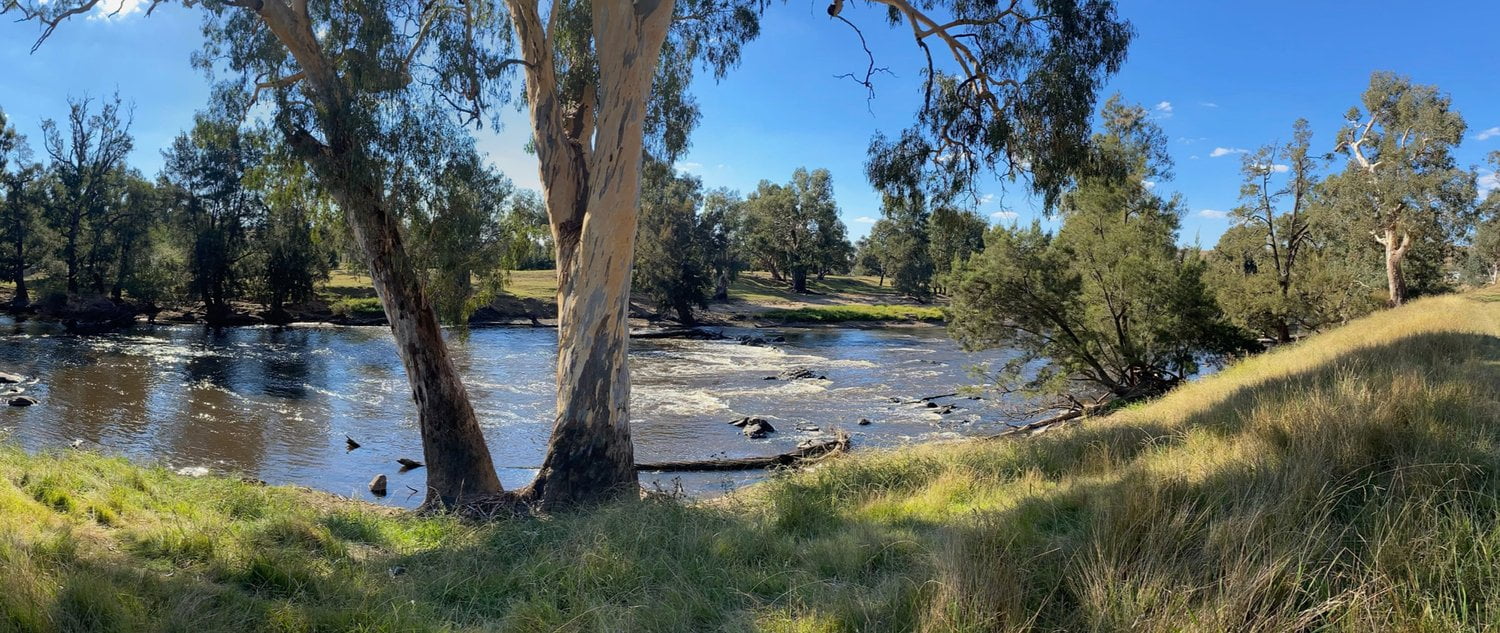 Aerial view of the Murrumbidgee River winding through the Murray-Darling Basin landscape