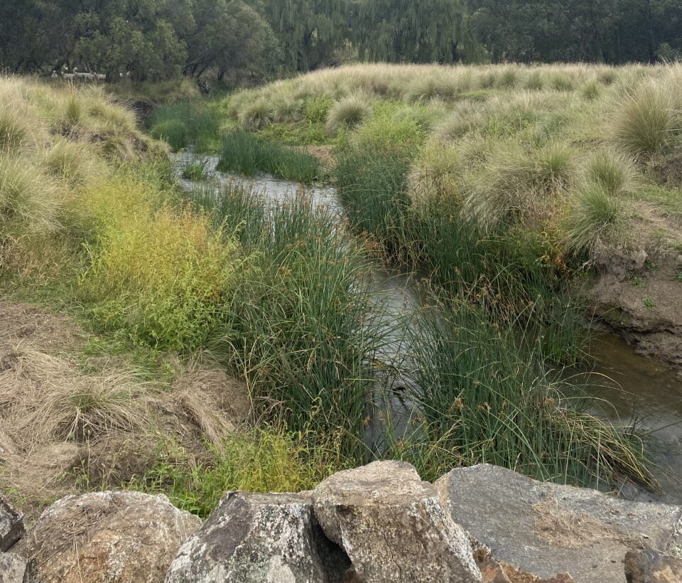 Crookwell landholder Tom McCormack's stream. Source: Lori Gould