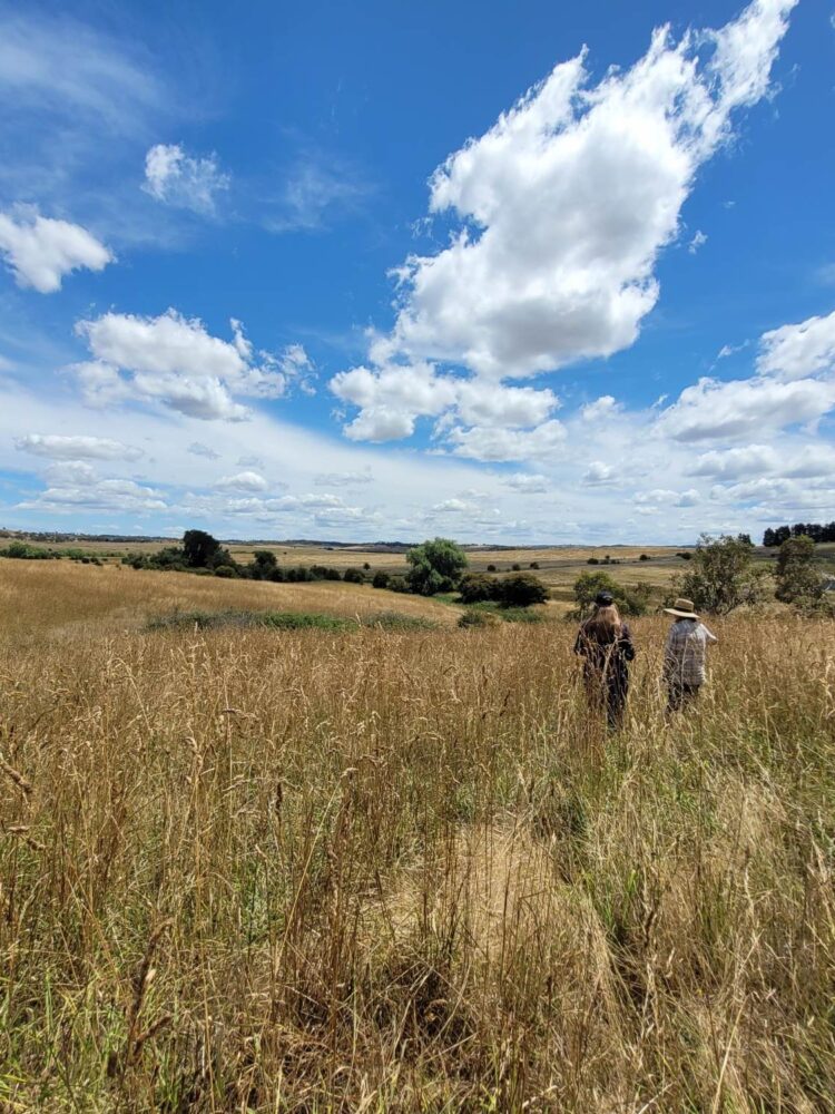 Lori Gould & landholder disappearing amongst very tall grass. Photo credit: Isobel Bender.