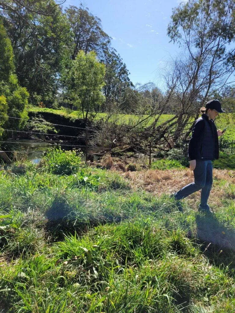 Mikayla sinking in mud on a very green and wet property. Photo credit: Isobel Bender.