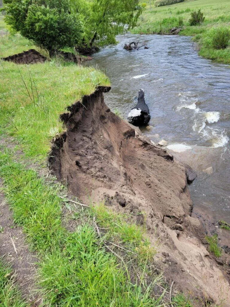 Floodwaters have caused mass failure on this riverbank on the Gudgenby. Photo credit: Isobel Bender.