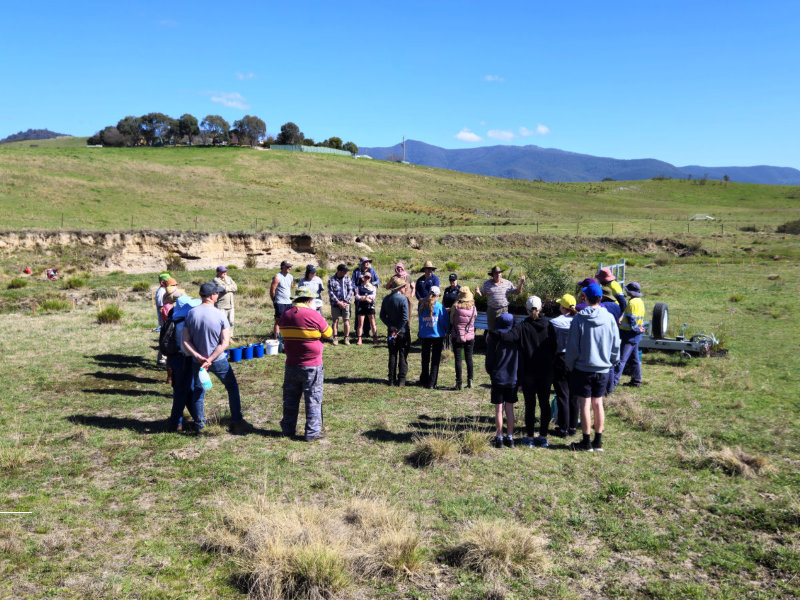 People gathering around a tray of seedlings