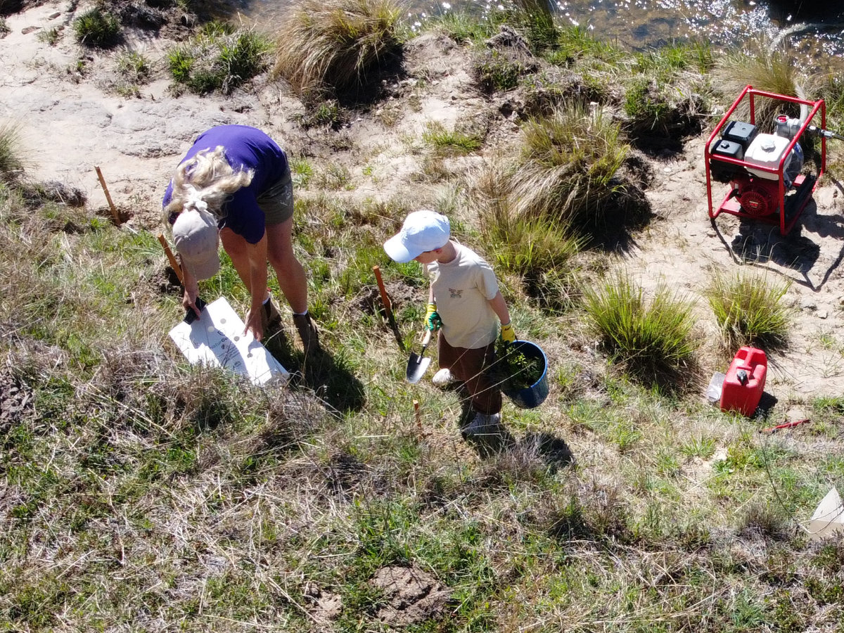 Volunteers planting tubestock along Gibraltar Creek