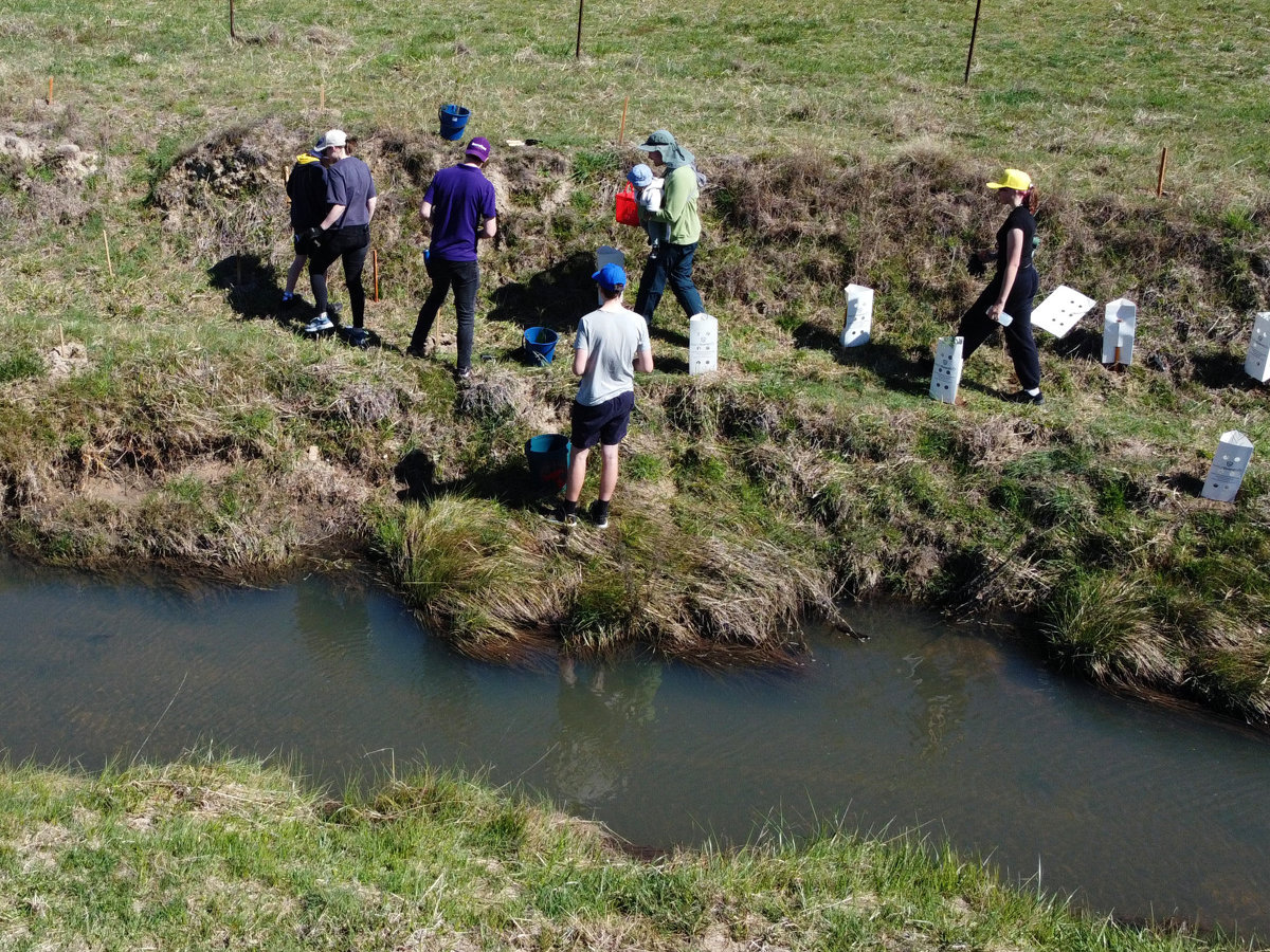 Volunteers planting tubestock along Gibraltar Creek
