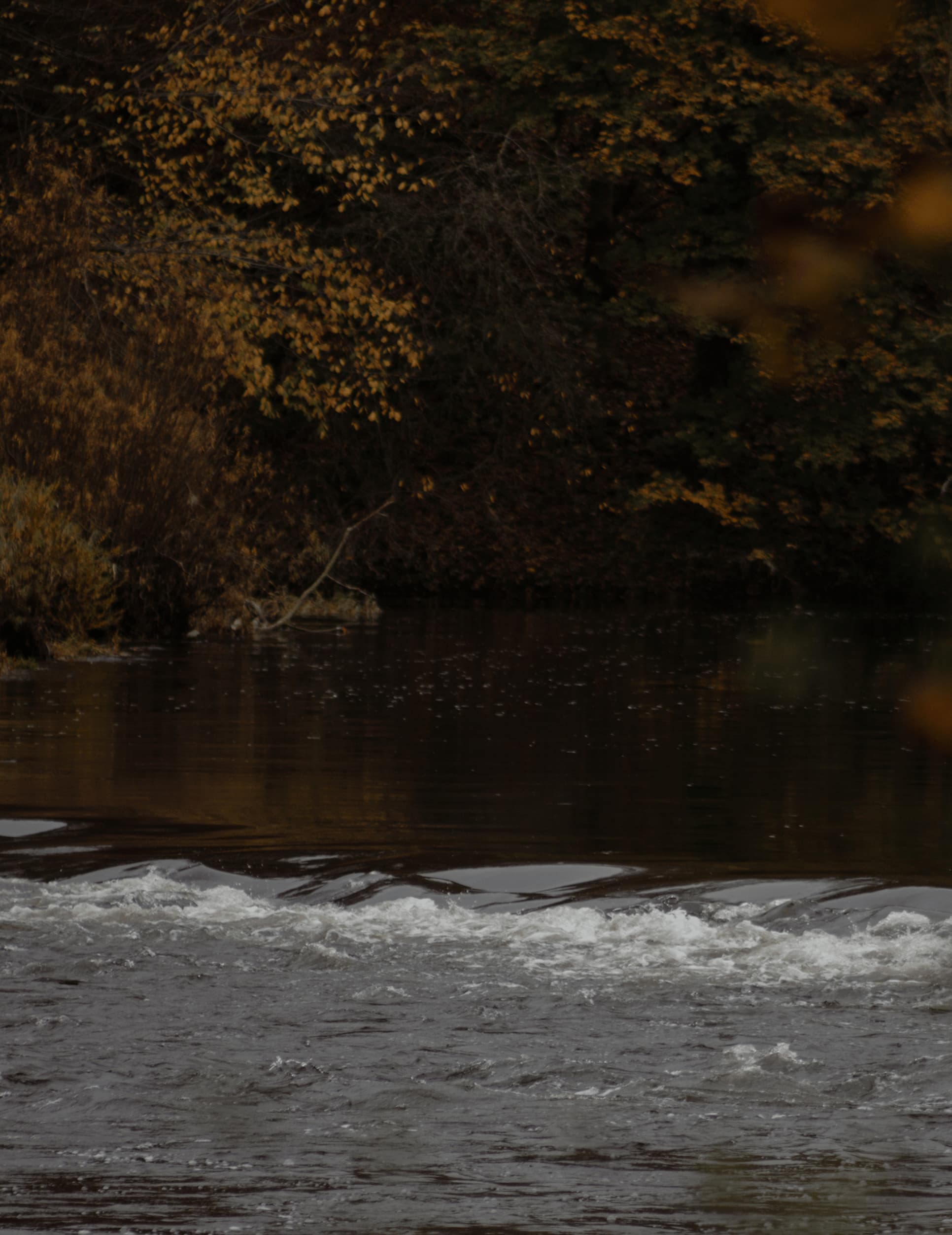 River landscape with autumn trees and flowing water