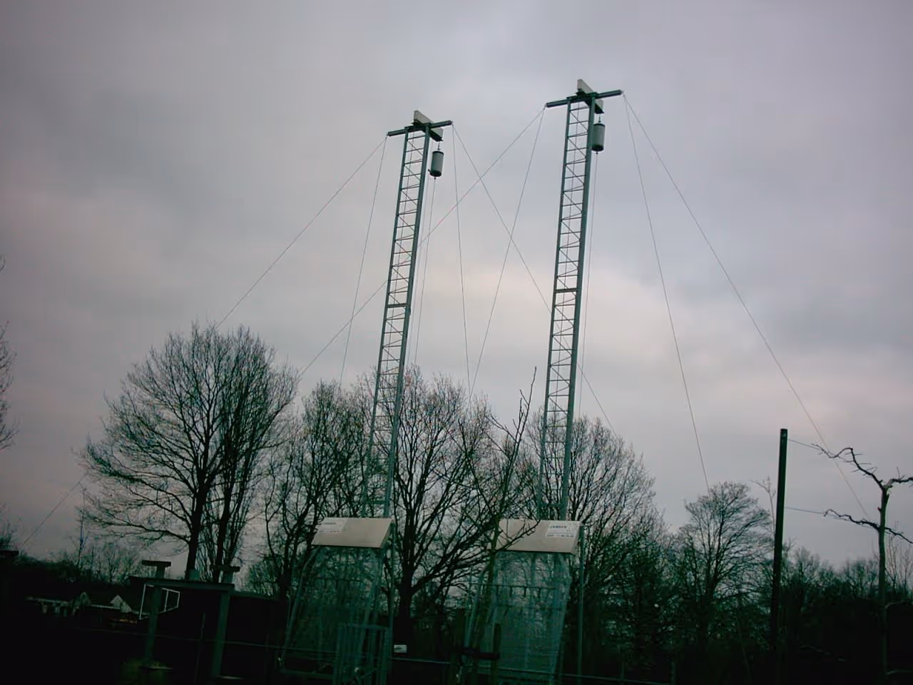 image of volunteerism in nature for an environmental conservation nonprofit