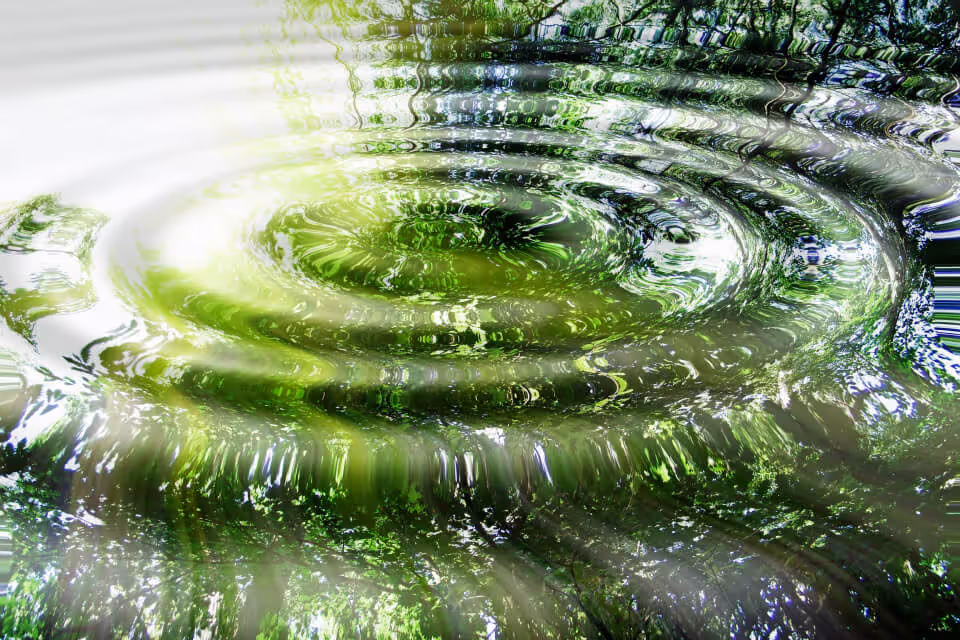 Concentric ripples on water reflecting green foliage and sunlight.