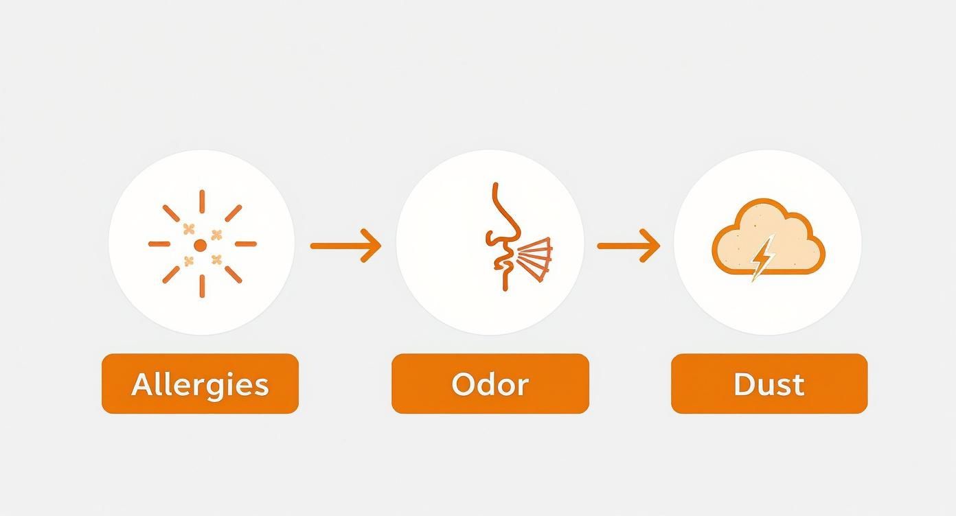 Three icons showing allergies, odor, and dust problems solved by air duct cleaning services