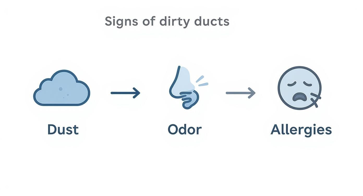 Visual representation of signs of dirty ducts: dust leads to odor, which causes allergies.
