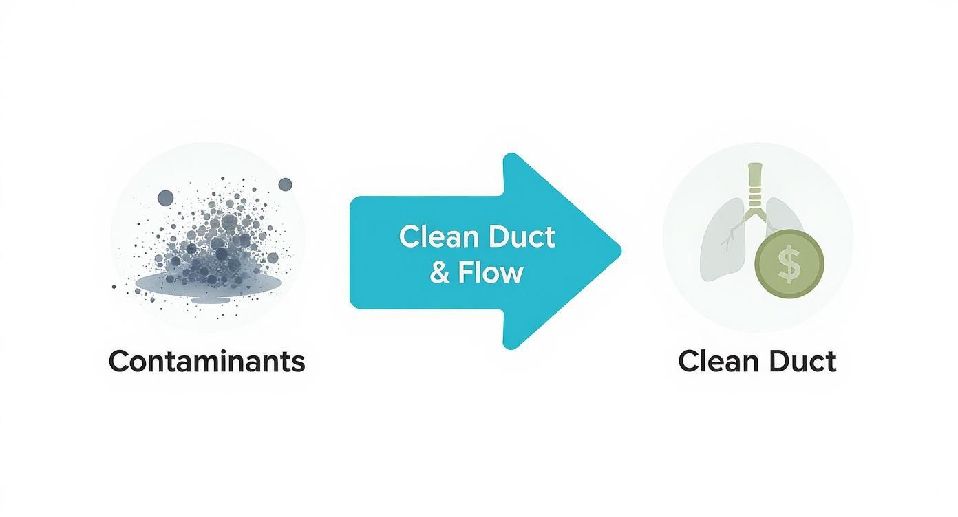 Diagram showing contaminants removal from ducts, leading to clean air, better health, and cost savings.