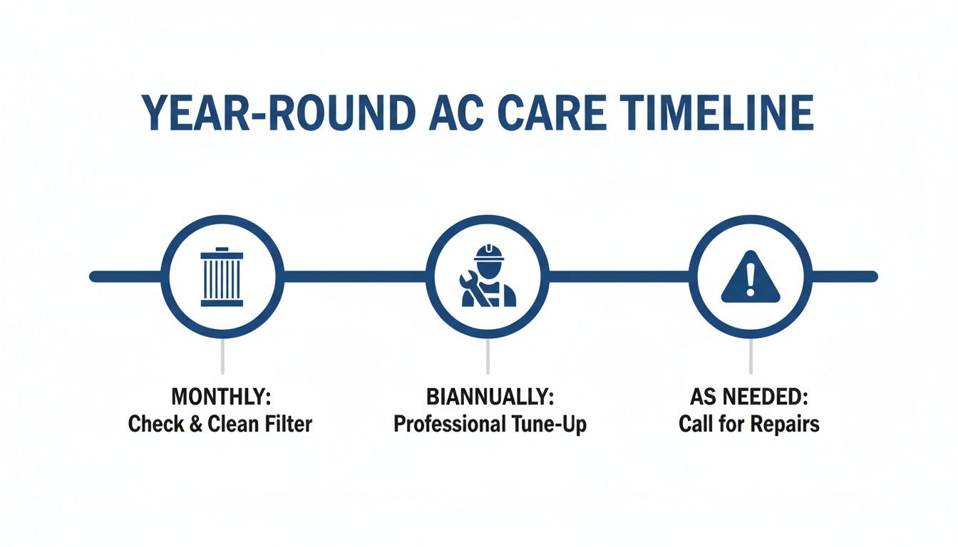 Infographic detailing a year-round AC care timeline with monthly filter checks, biannual tune-ups, and repairs as needed.