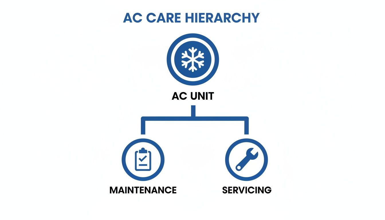 Hierarchy chart for AC care, detailing AC Unit options: Maintenance with checklist and Servicing with wrench.