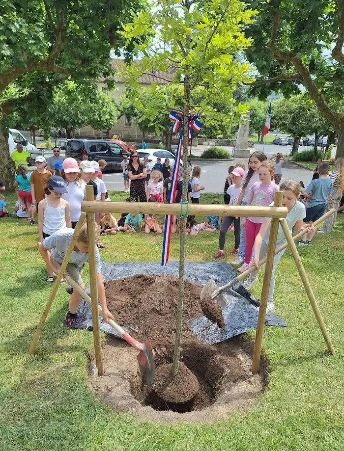 Des enfants en train de planter l'arbre de l'amitié