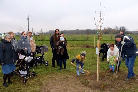 Plantation d'arbres de naissance