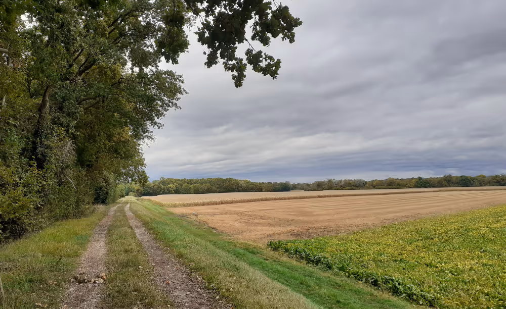 Digue des hautes eaux_dite digue Tulla