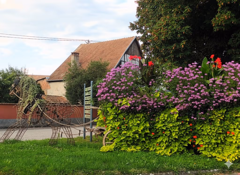 Fleurissement du Zimmerplatz