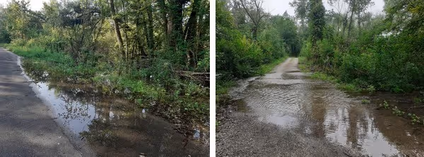 Juillet : Fortes précipitations avec débordement des cours d'eau forestiers