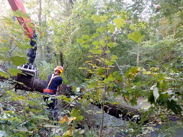 Septembre : Enlèvement d'embâcles sur le Grieniessen par les bûcherons du SIVU forestier
