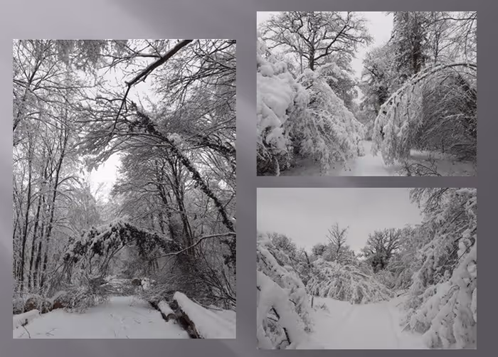 Décembre : Episode neigeux