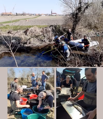 Février : Pêche électrique dans l'Ischert (programme GEMAPI)